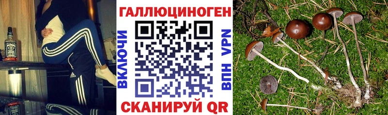 Псилоцибиновые грибы прущие грибы  гидра ССЫЛКА  Лесосибирск 